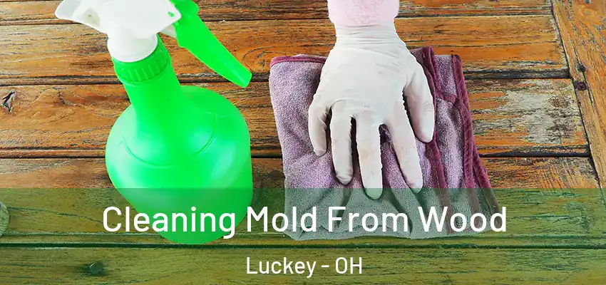 Cleaning Mold From Wood Luckey - OH