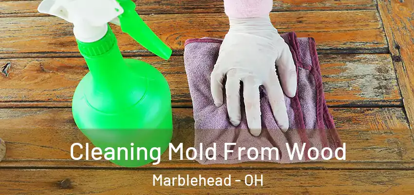  Cleaning Mold From Wood Marblehead - OH