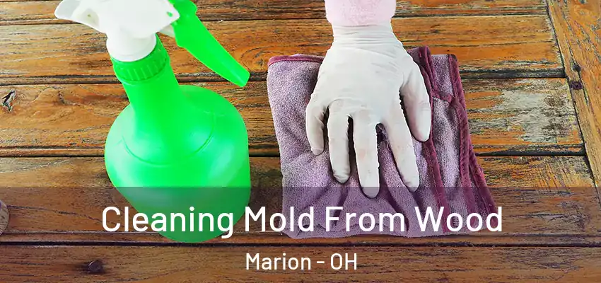  Cleaning Mold From Wood Marion - OH