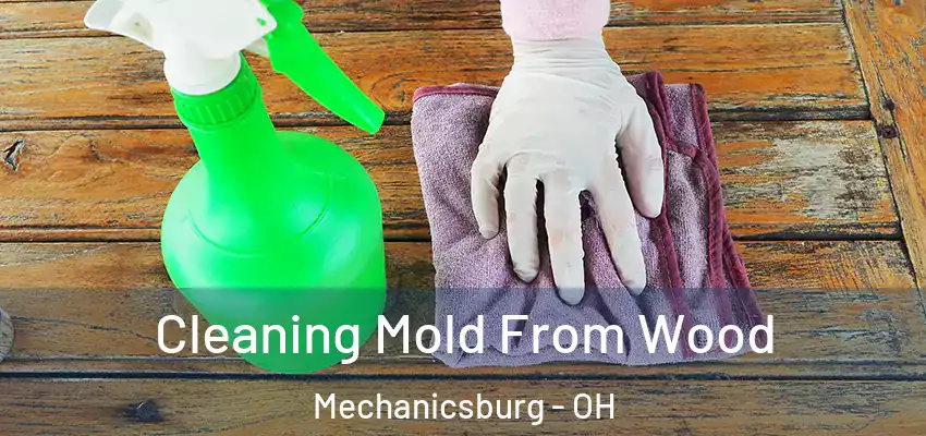  Cleaning Mold From Wood Mechanicsburg - OH