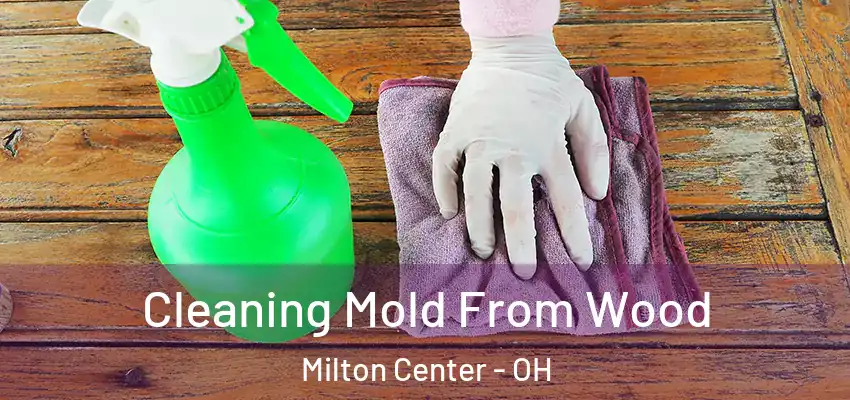  Cleaning Mold From Wood Milton Center - OH
