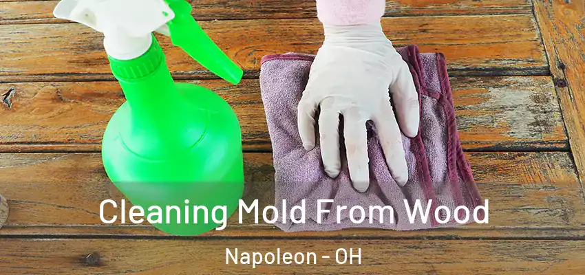  Cleaning Mold From Wood Napoleon - OH