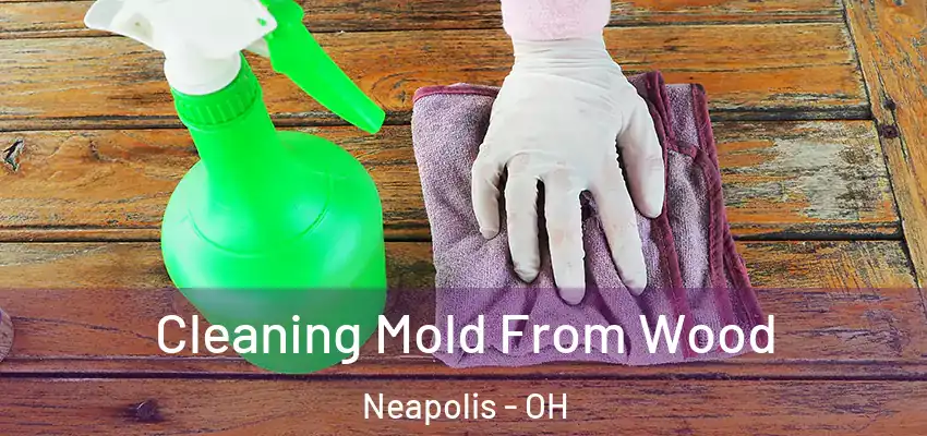  Cleaning Mold From Wood Neapolis - OH
