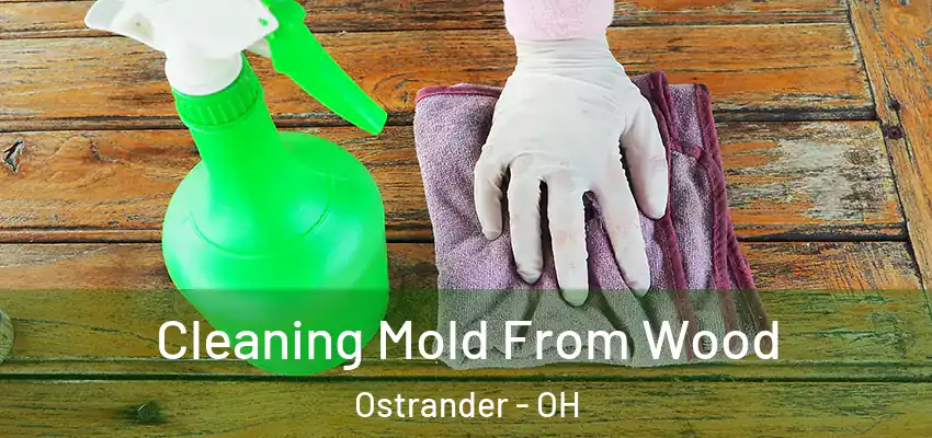  Cleaning Mold From Wood Ostrander - OH