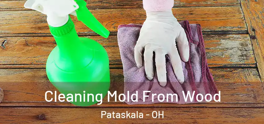  Cleaning Mold From Wood Pataskala - OH