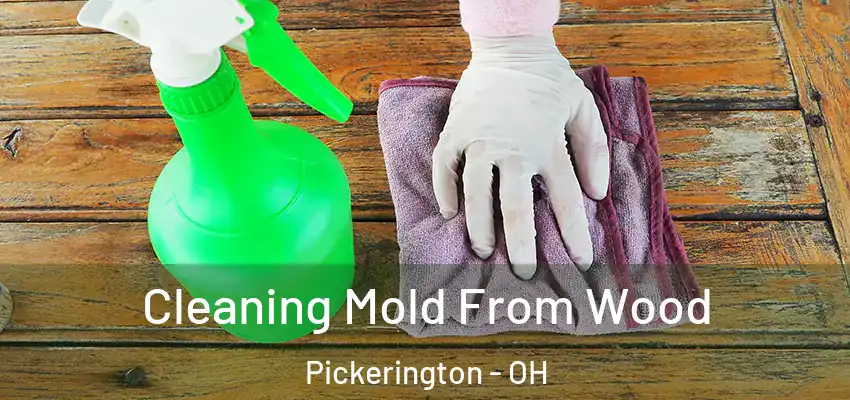  Cleaning Mold From Wood Pickerington - OH