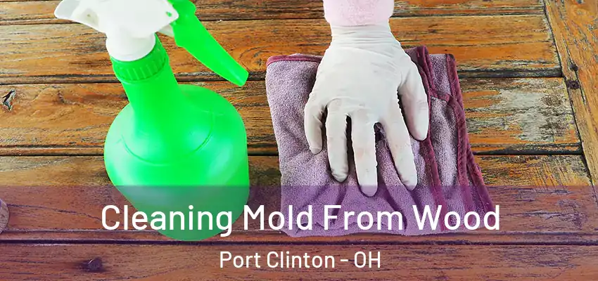  Cleaning Mold From Wood Port Clinton - OH