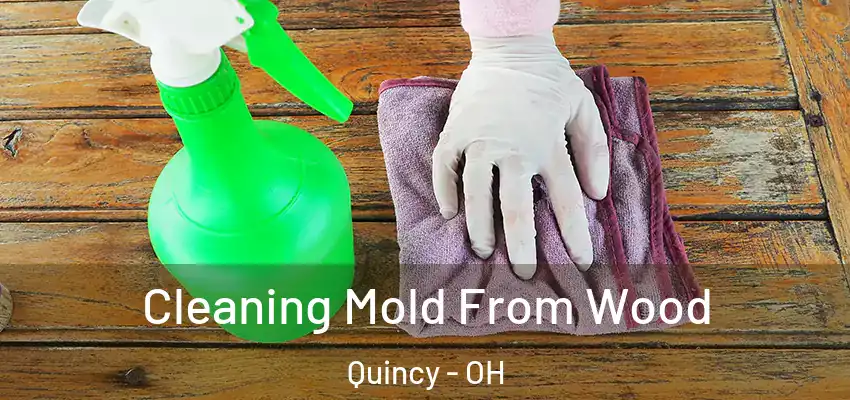  Cleaning Mold From Wood Quincy - OH