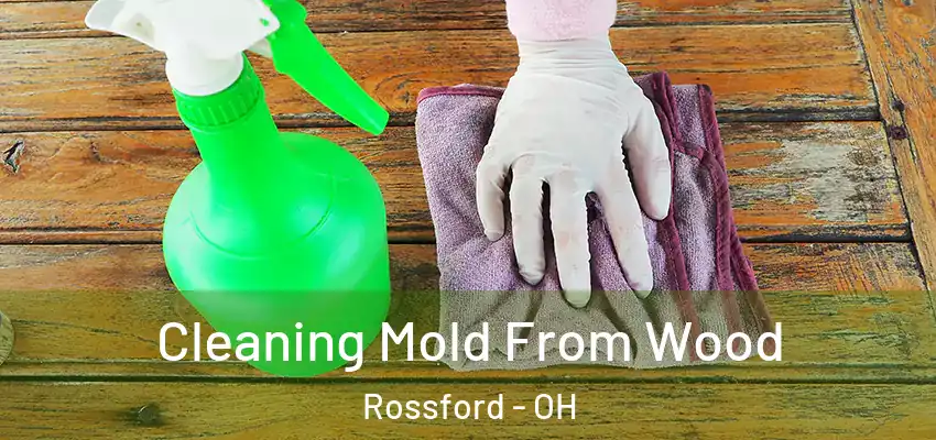  Cleaning Mold From Wood Rossford - OH