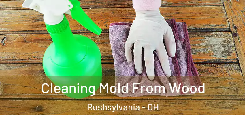  Cleaning Mold From Wood Rushsylvania - OH