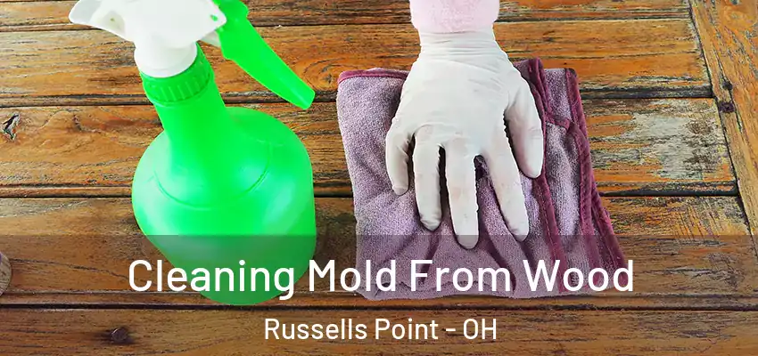Cleaning Mold From Wood Russells Point - OH