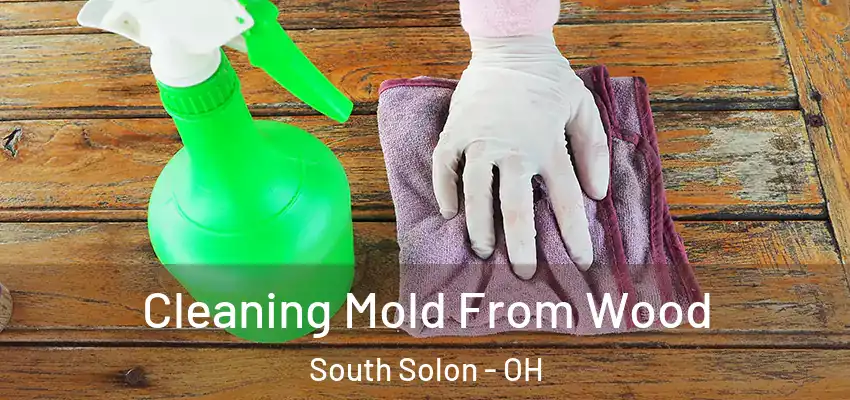  Cleaning Mold From Wood South Solon - OH