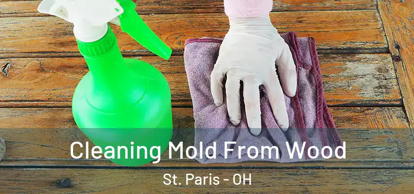  Cleaning Mold From Wood St. Paris - OH