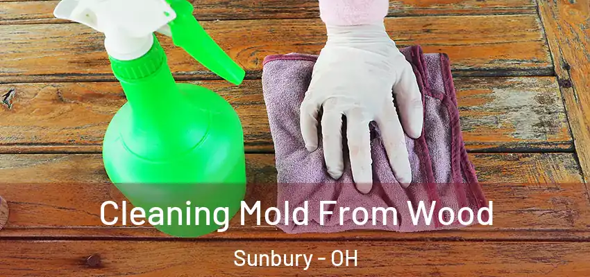  Cleaning Mold From Wood Sunbury - OH