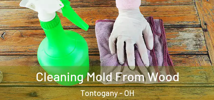  Cleaning Mold From Wood Tontogany - OH
