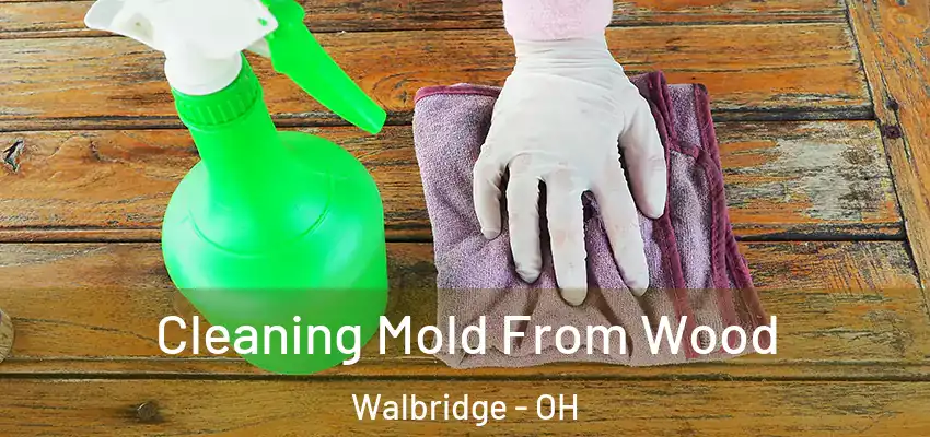  Cleaning Mold From Wood Walbridge - OH