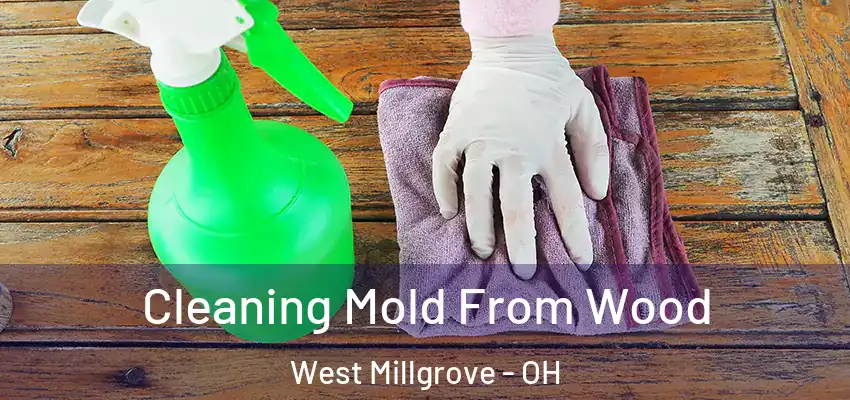 Cleaning Mold From Wood West Millgrove - OH