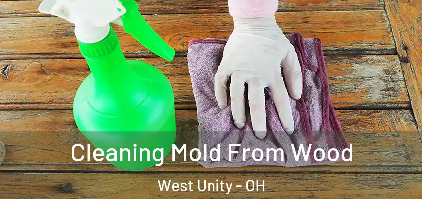  Cleaning Mold From Wood West Unity - OH