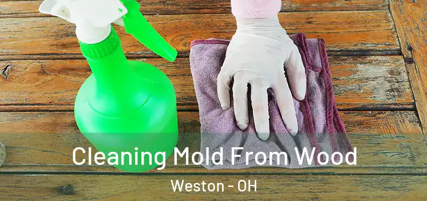  Cleaning Mold From Wood Weston - OH