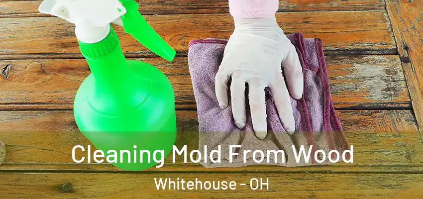  Cleaning Mold From Wood Whitehouse - OH