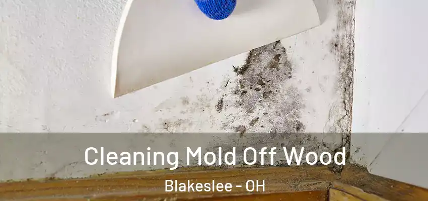  Cleaning Mold Off Wood Blakeslee - OH