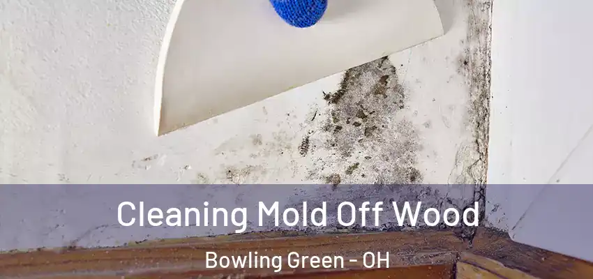  Cleaning Mold Off Wood Bowling Green - OH