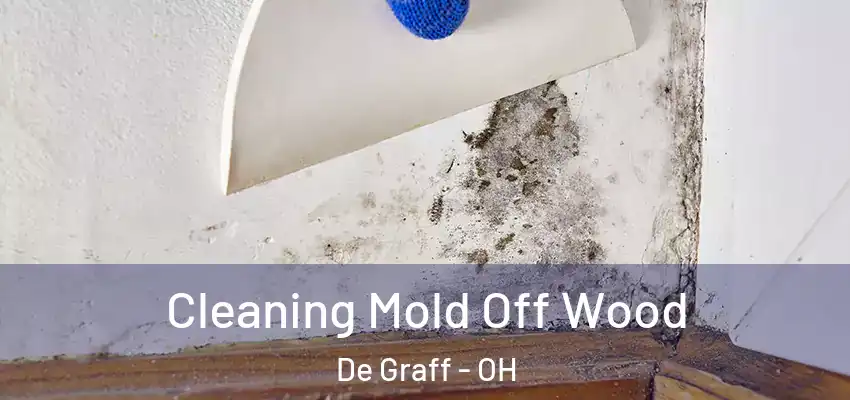  Cleaning Mold Off Wood De Graff - OH