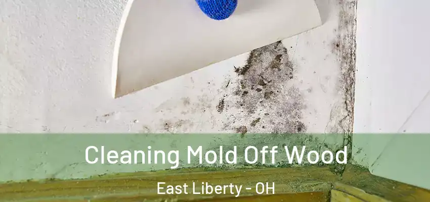  Cleaning Mold Off Wood East Liberty - OH