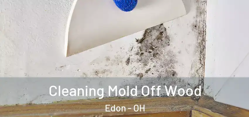  Cleaning Mold Off Wood Edon - OH