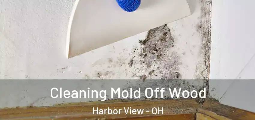  Cleaning Mold Off Wood Harbor View - OH