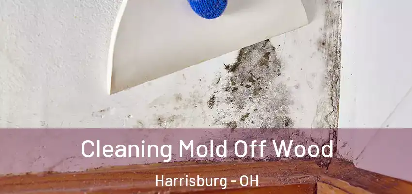  Cleaning Mold Off Wood Harrisburg - OH