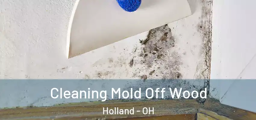  Cleaning Mold Off Wood Holland - OH