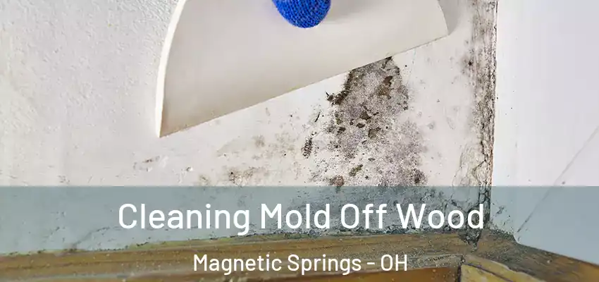  Cleaning Mold Off Wood Magnetic Springs - OH