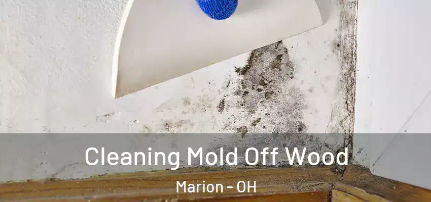  Cleaning Mold Off Wood Marion - OH