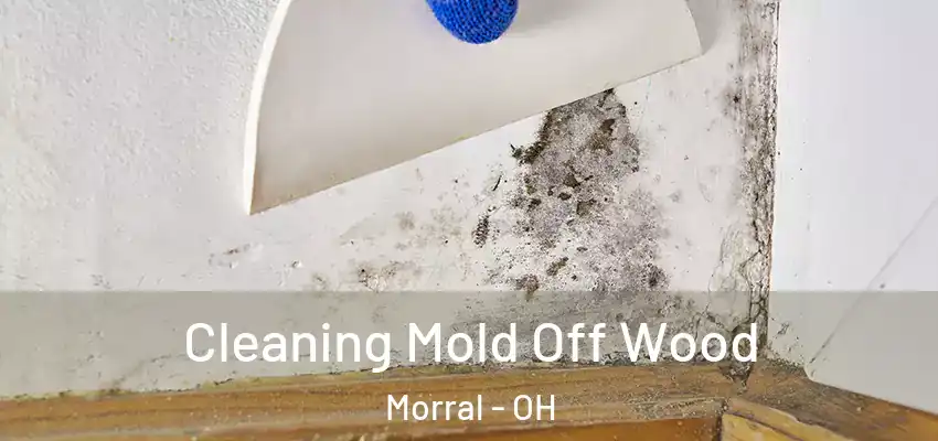  Cleaning Mold Off Wood Morral - OH