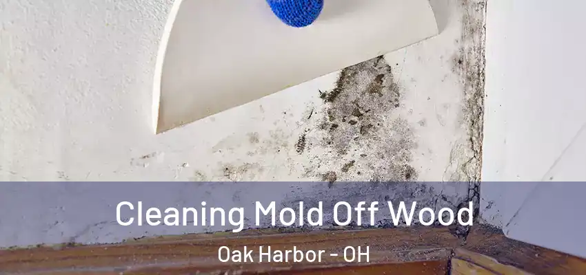  Cleaning Mold Off Wood Oak Harbor - OH
