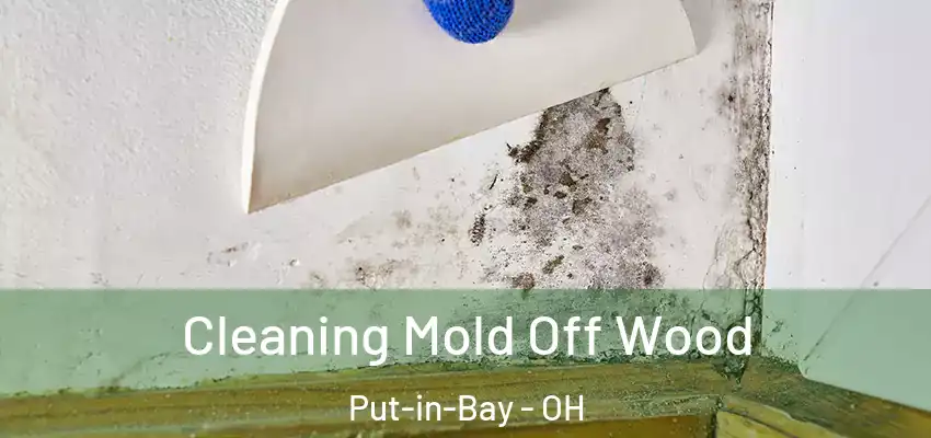  Cleaning Mold Off Wood Put-in-Bay - OH