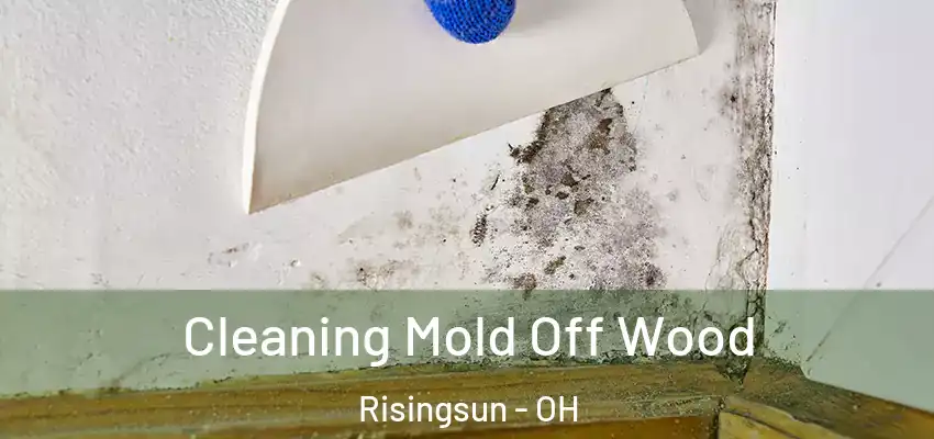  Cleaning Mold Off Wood Risingsun - OH