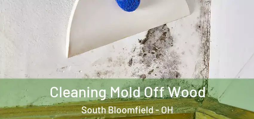  Cleaning Mold Off Wood South Bloomfield - OH