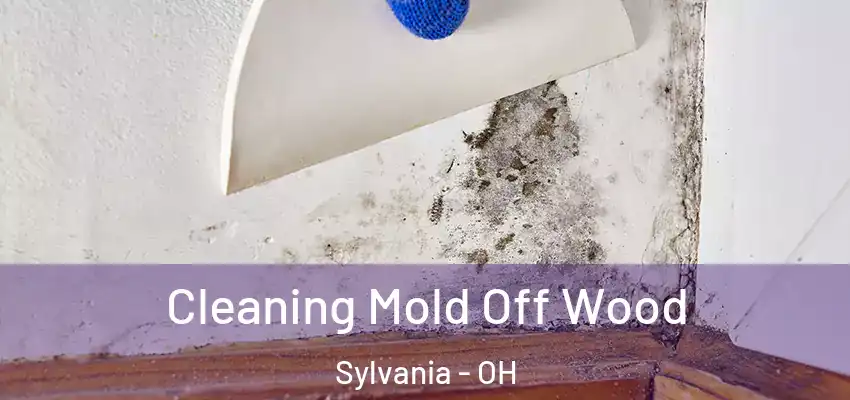  Cleaning Mold Off Wood Sylvania - OH