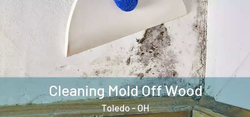  Cleaning Mold Off Wood Toledo - OH