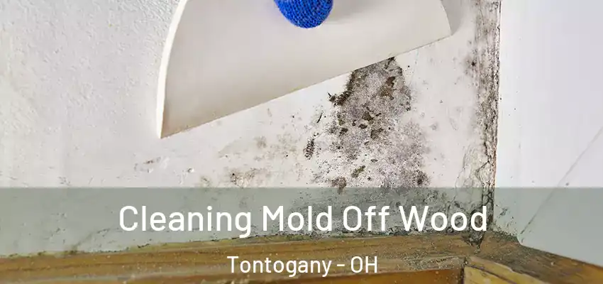  Cleaning Mold Off Wood Tontogany - OH