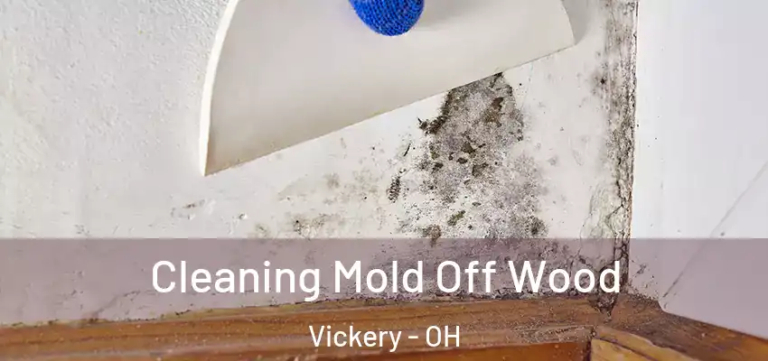  Cleaning Mold Off Wood Vickery - OH