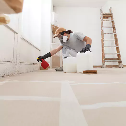 Reliable Mold Stain Remover Specialists in Carey, OH