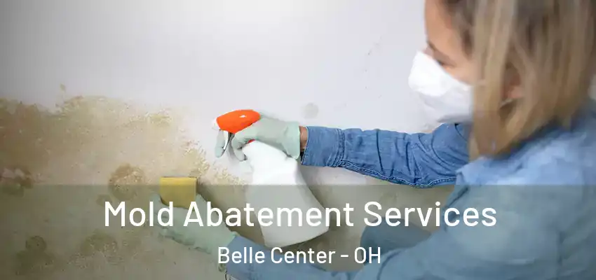  Mold Abatement Services Belle Center - OH