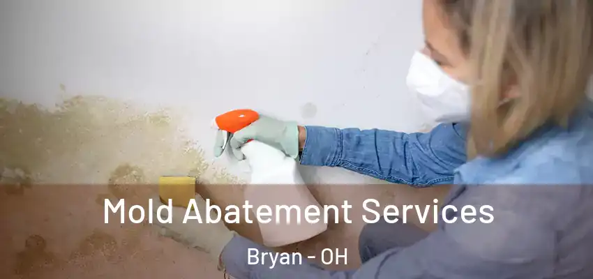  Mold Abatement Services Bryan - OH