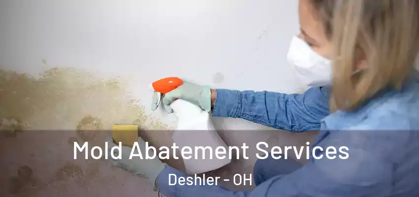  Mold Abatement Services Deshler - OH