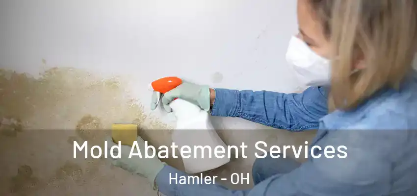  Mold Abatement Services Hamler - OH
