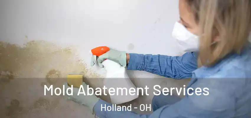  Mold Abatement Services Holland - OH
