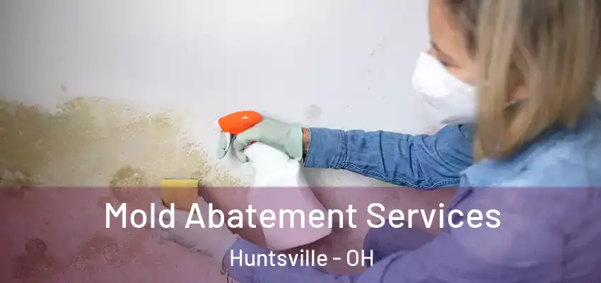  Mold Abatement Services Huntsville - OH